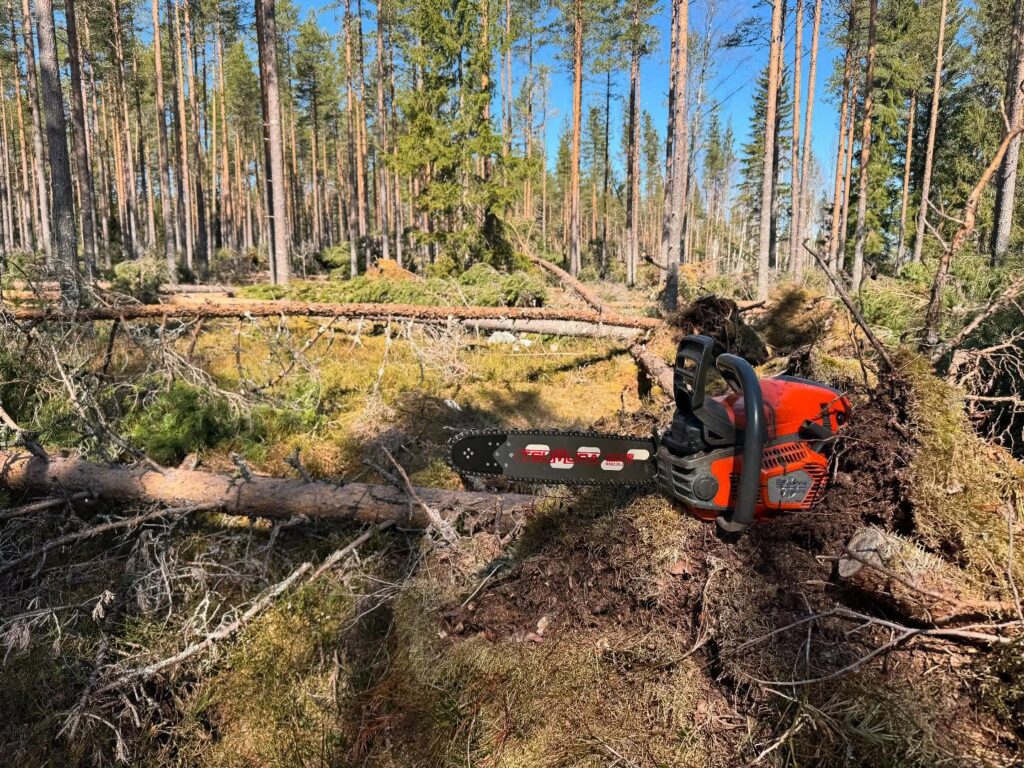 Trädfällning Vindeln