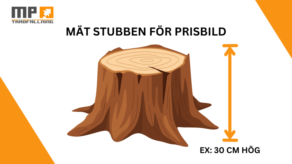 stubbfräsning umeå pris