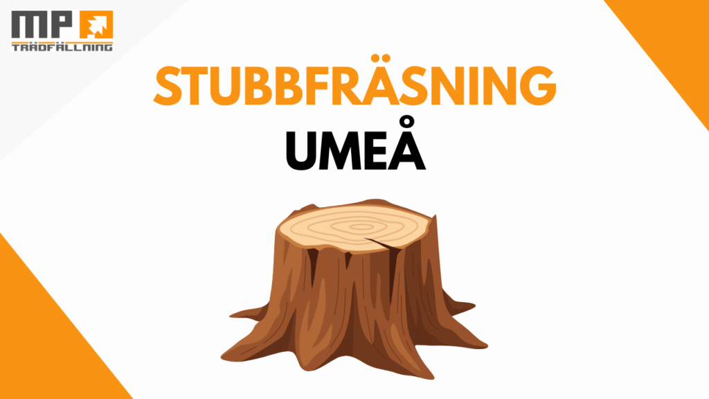stubbfräsning umeå